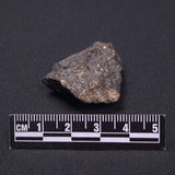 WILUNA METEORITE, H5 Chondrite, Australia YWM031
