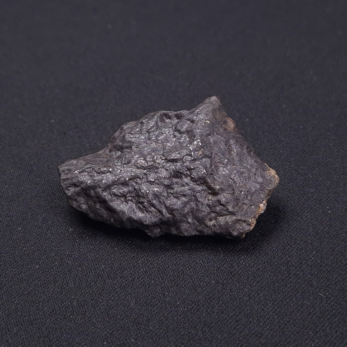 WILUNA METEORITE, H5 Chondrite, Australia YWM031