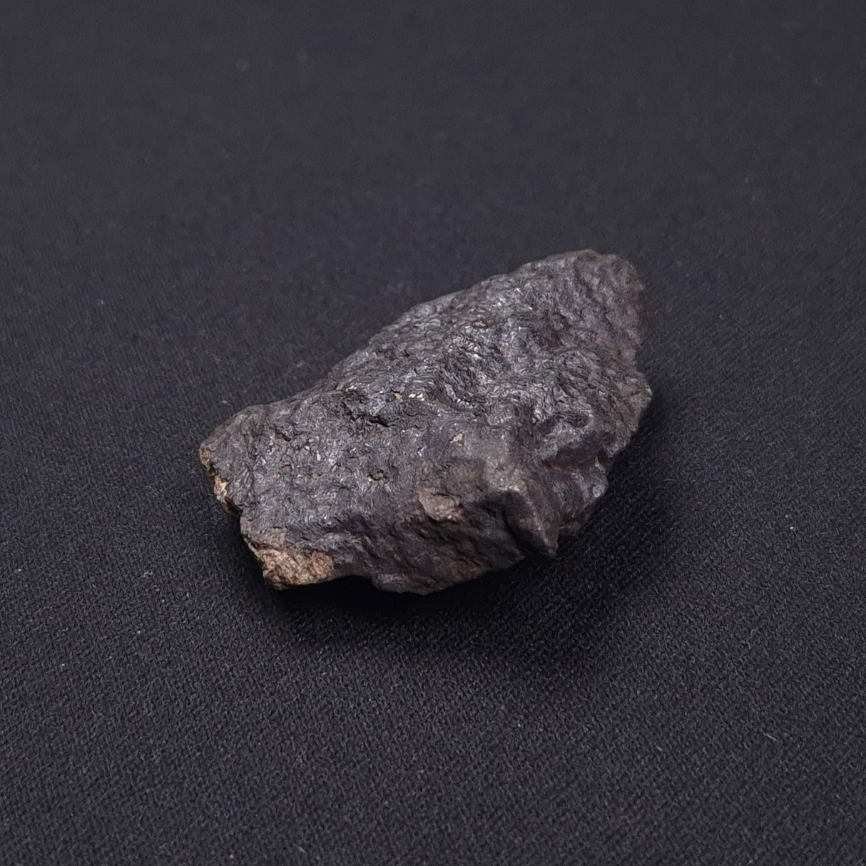 WILUNA METEORITE, H5 Chondrite, Australia YWM031