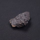 WILUNA METEORITE, H5 Chondrite, Australia YWM031