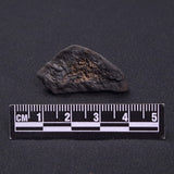 WILUNA METEORITE, H5 Chondrite, Australia YWM032