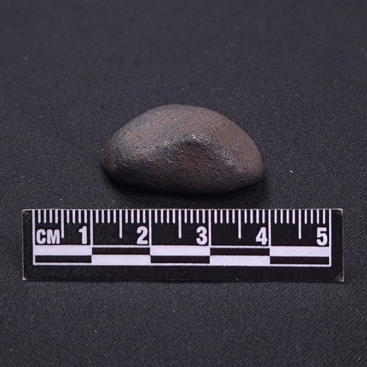 WILUNA METEORITE, H5 Chondrite, Australia YWM034