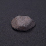 WILUNA METEORITE, H5 Chondrite, Australia YWM034