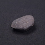 WILUNA METEORITE, H5 Chondrite, Australia YWM034