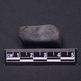 WILUNA METEORITE, H5 Chondrite, Australia YWM035