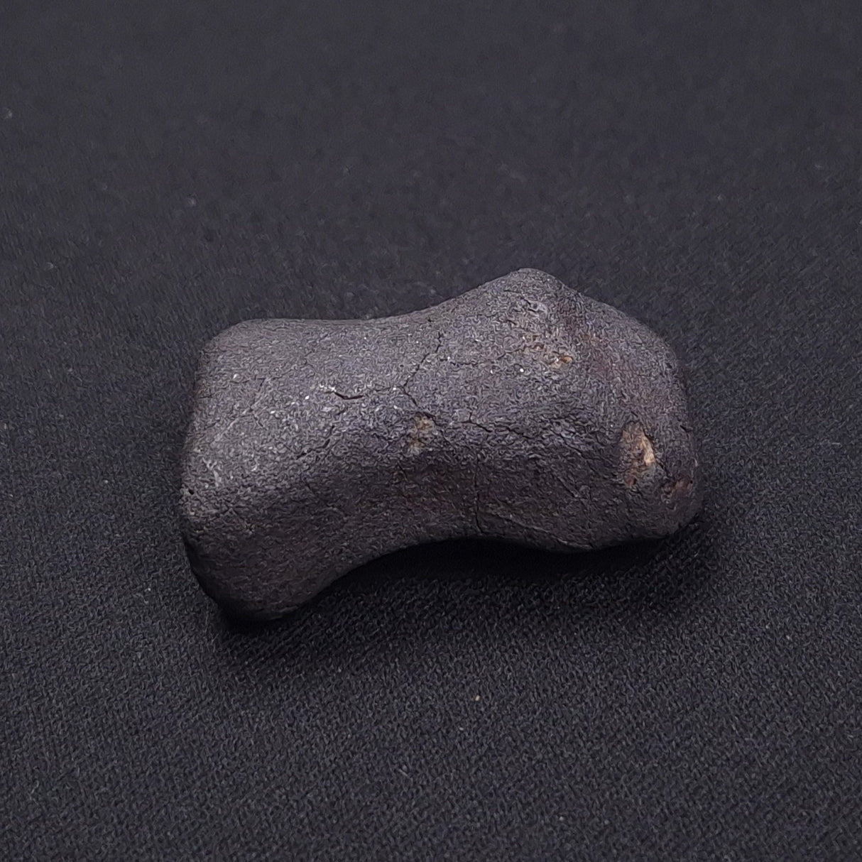 WILUNA METEORITE, H5 Chondrite, Australia YWM035