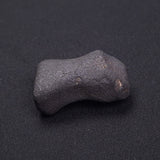 WILUNA METEORITE, H5 Chondrite, Australia YWM035