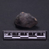 WILUNA METEORITE, H5 Chondrite, Australia YWM037