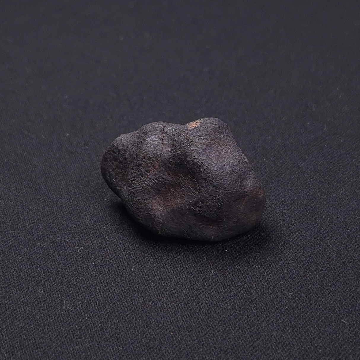 WILUNA METEORITE, H5 Chondrite, Australia YWM037