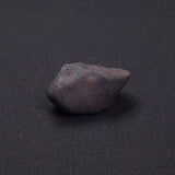 WILUNA METEORITE, H5 Chondrite, Australia YWM037