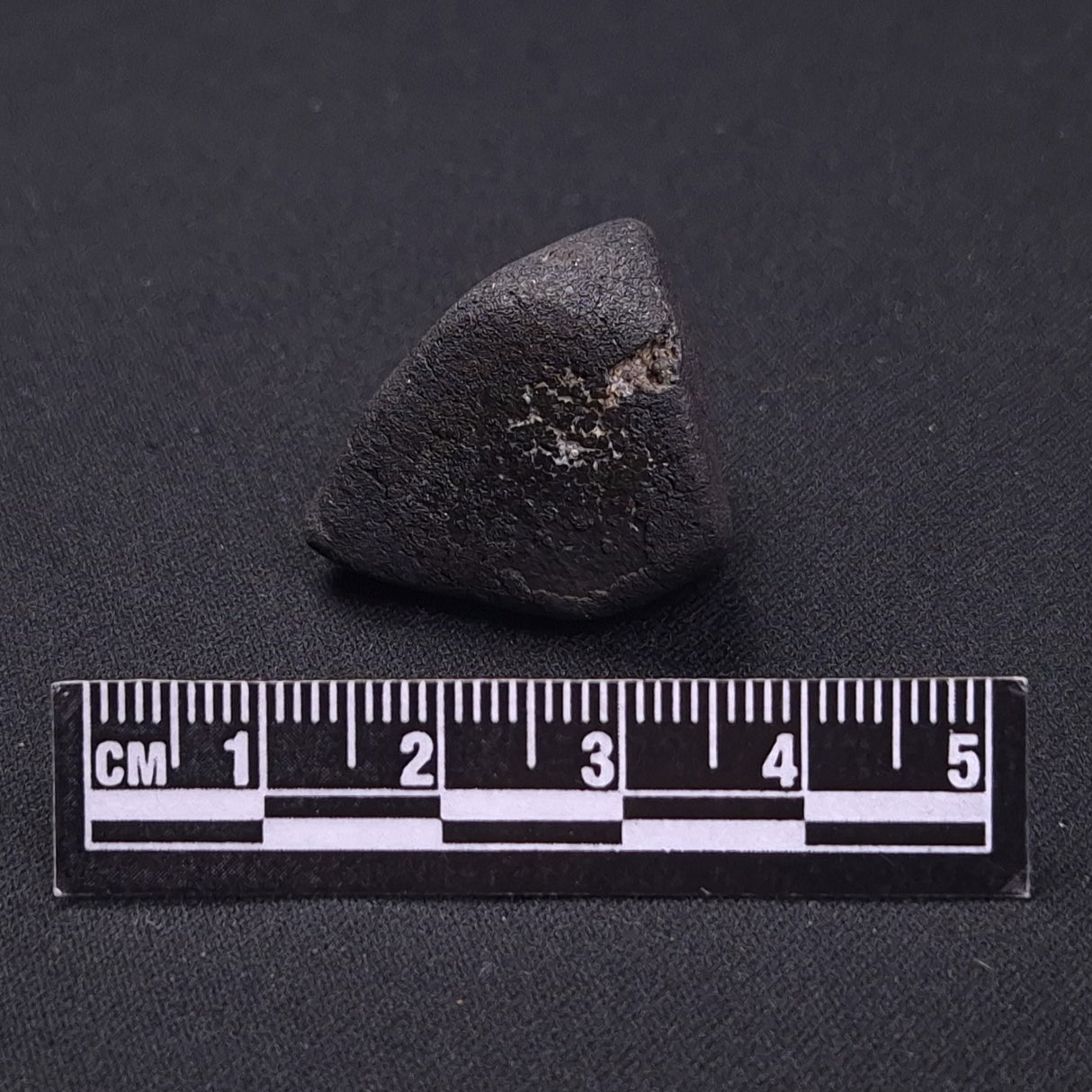 WILUNA METEORITE, H5 Chondrite, Australia YWM038