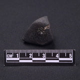 WILUNA METEORITE, H5 Chondrite, Australia YWM038
