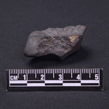 WILUNA METEORITE, H5 Chondrite, Australia YWM039