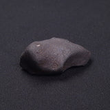 WILUNA METEORITE, H5 Chondrite, Australia YWM039