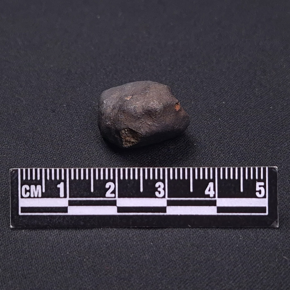 WILUNA METEORITE, H5 Chondrite, Australia YWM040