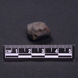 WILUNA METEORITE, H5 Chondrite, Australia YWM040