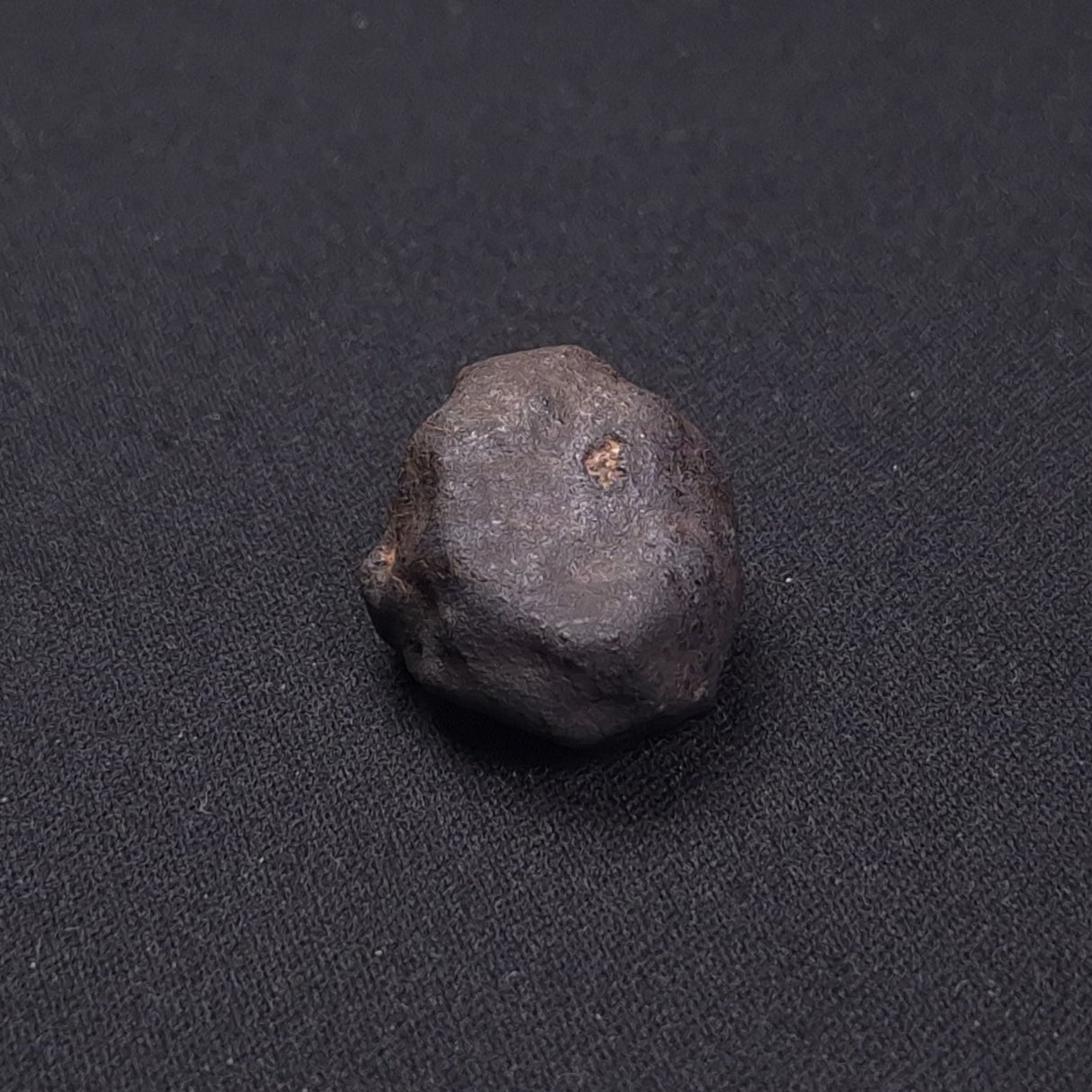 WILUNA METEORITE, H5 Chondrite, Australia YWM040