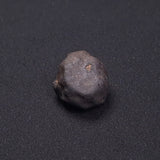 WILUNA METEORITE, H5 Chondrite, Australia YWM040