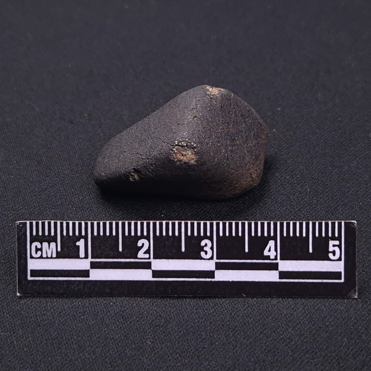 WILUNA METEORITE, H5 Chondrite, Australia YWM041