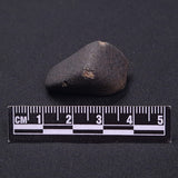 WILUNA METEORITE, H5 Chondrite, Australia YWM041