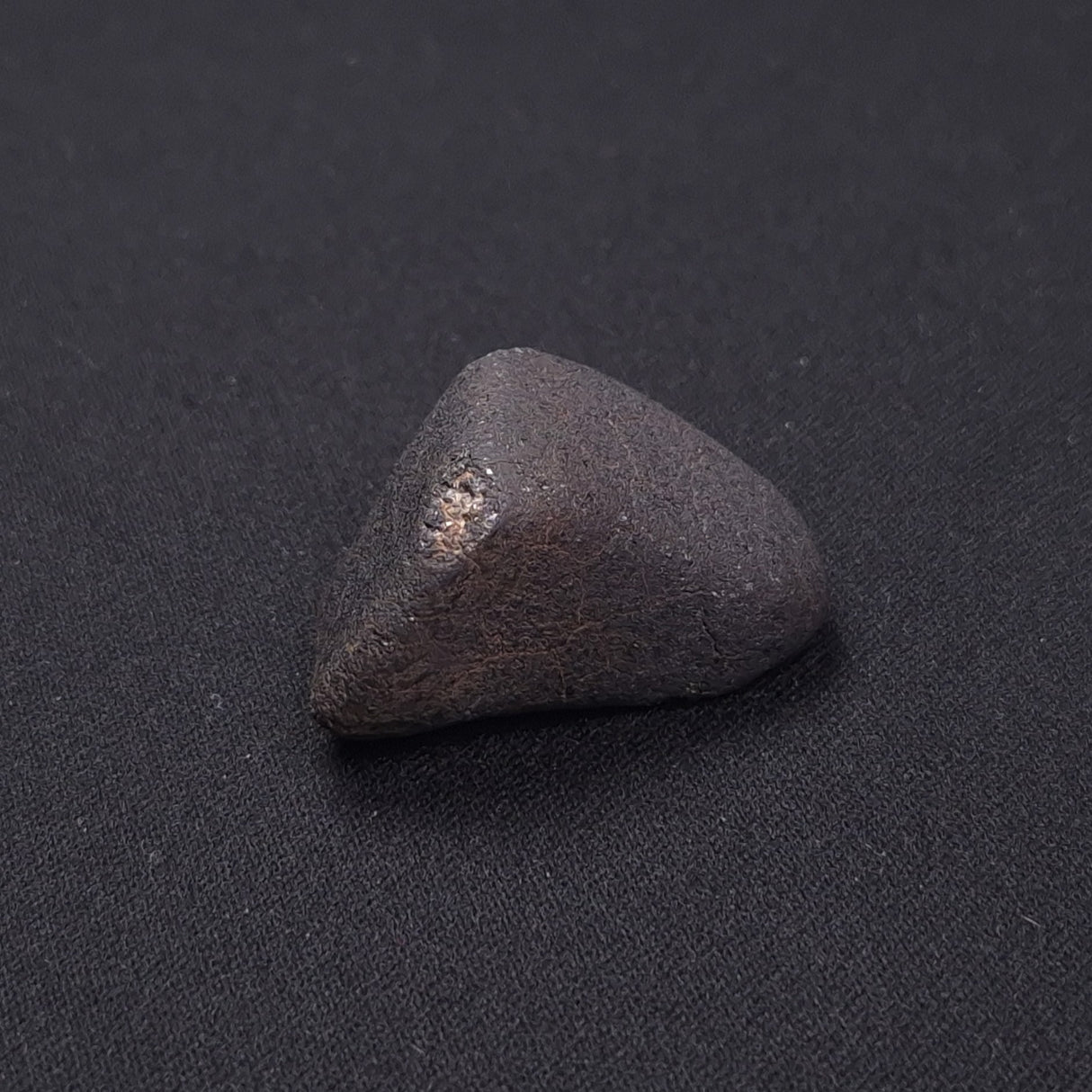 WILUNA METEORITE, H5 Chondrite, Australia YWM041