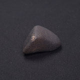 WILUNA METEORITE, H5 Chondrite, Australia YWM041