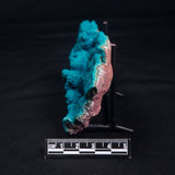 CHRYSOCOLLA, Democratic Republic of Congo XCR007