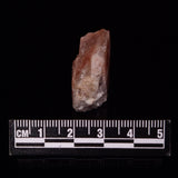 CONFETTI SUNSTONE FACE POLISHED, Australia XSU028