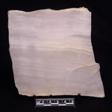 MANGANOCALCITE, Mexico ZMC001