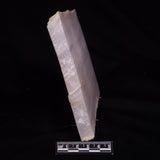 MANGANOCALCITE, Mexico ZMC001