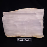 MANGANOCALCITE, Mexico ZMC002