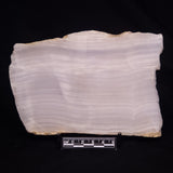 MANGANOCALCITE, Mexico ZMC004