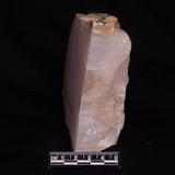 MANGANOCALCITE, Mexico ZMC008