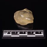 LIBYAN DESERT GLASS IMPACTITE, Eastern Sahara Desert XDG015