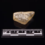 LIBYAN DESERT GLASS IMPACTITE, Eastern Sahara Desert XDG016