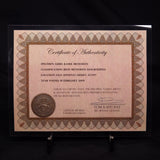 GEBEL KAMIL METEORITE, Egypt XGK006