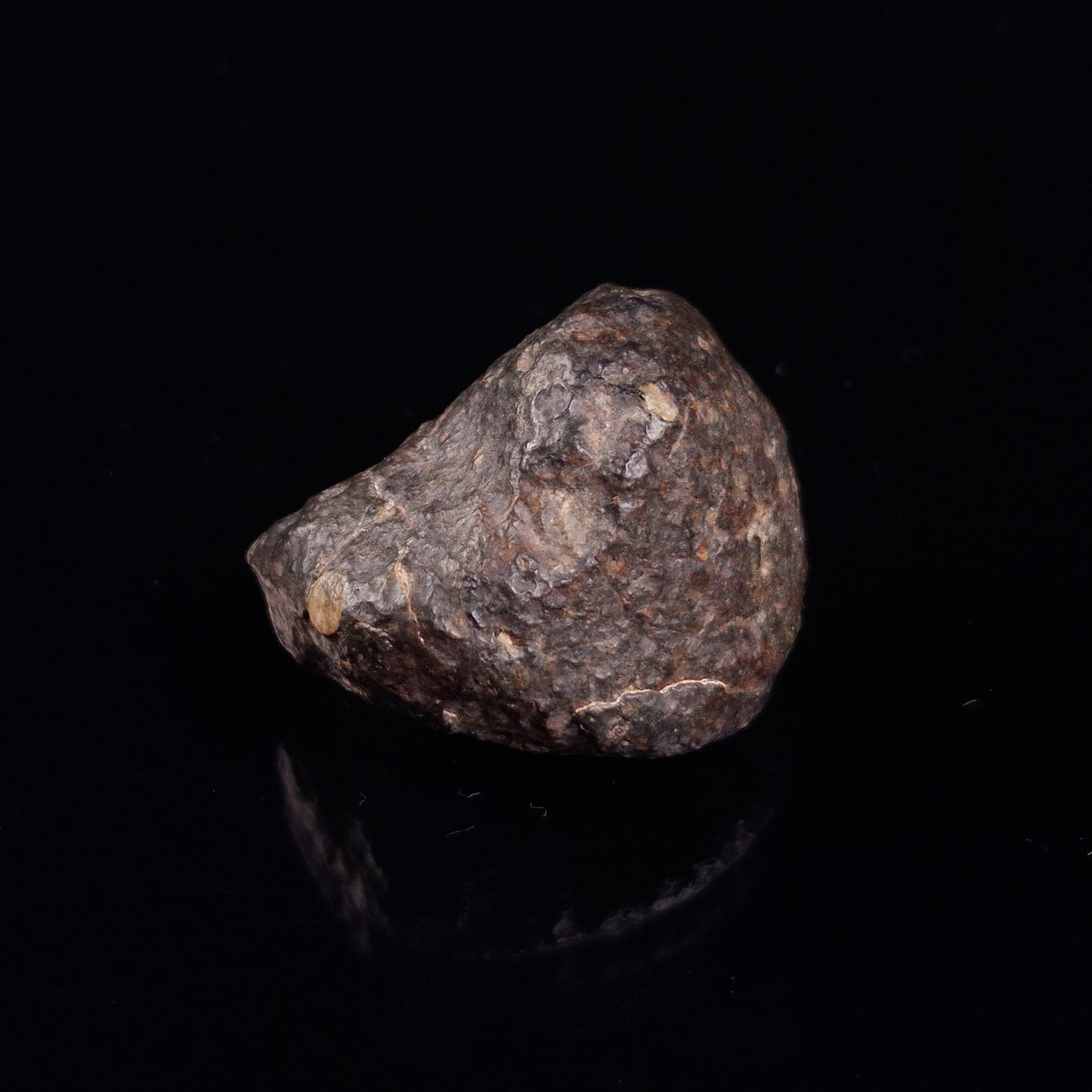 NWA RUMURUTI-TYPE METEORITE, North West Africa XRM001