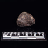 NWA RUMURUTI-TYPE METEORITE, North West Africa XRM001