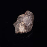 NWA RUMURUTI-TYPE METEORITE, North West Africa XRM004