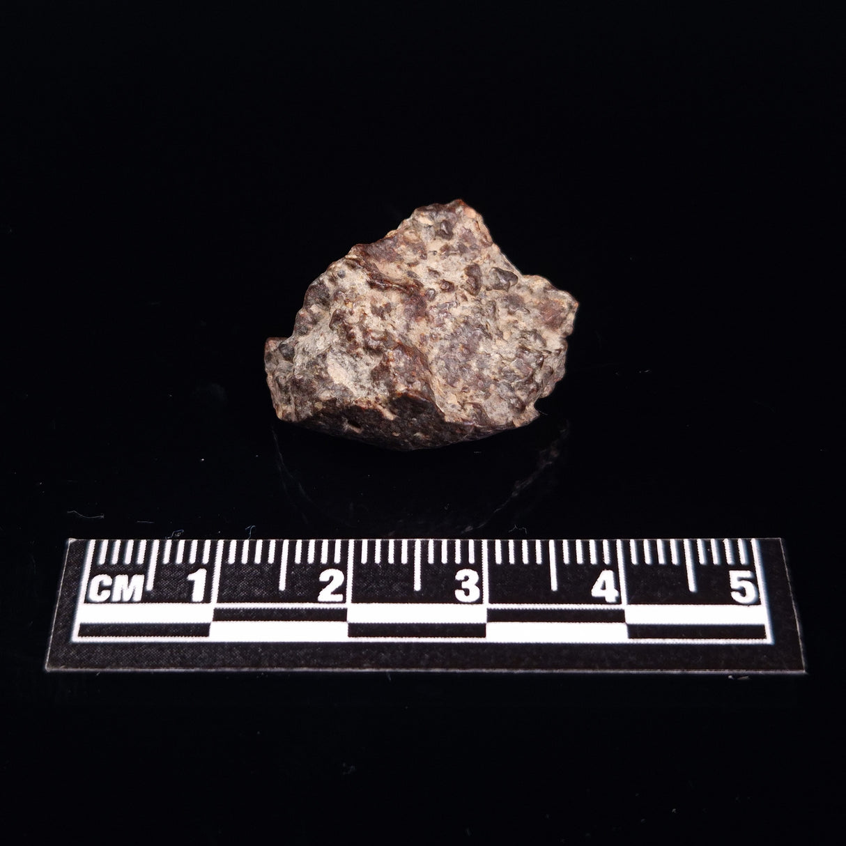 NWA RUMURUTI-TYPE METEORITE, North West Africa XRM004
