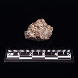 NWA RUMURUTI-TYPE METEORITE, North West Africa XRM004