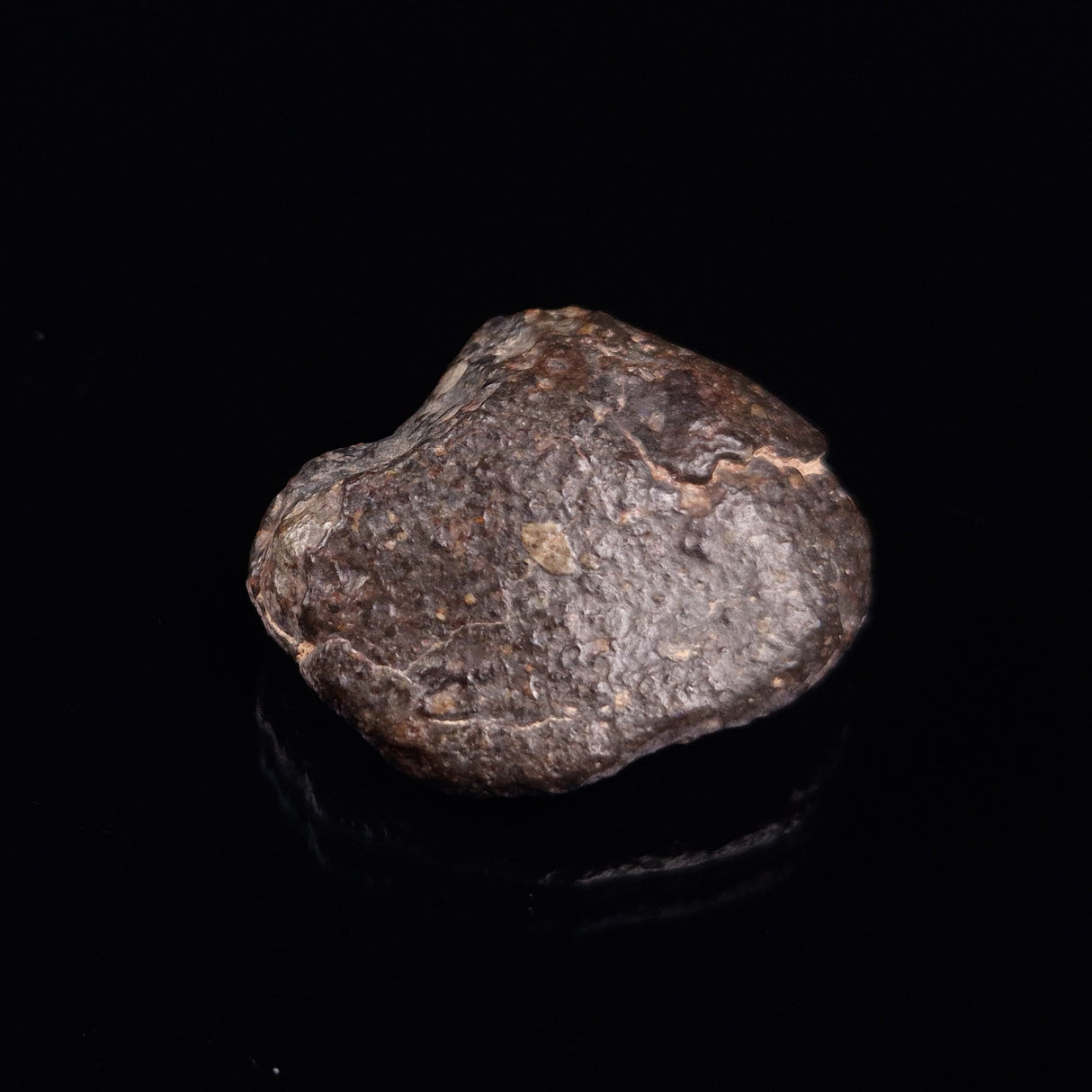NWA RUMURUTI-TYPE METEORITE, North West Africa XRM005
