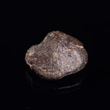 NWA RUMURUTI-TYPE METEORITE, North West Africa XRM005