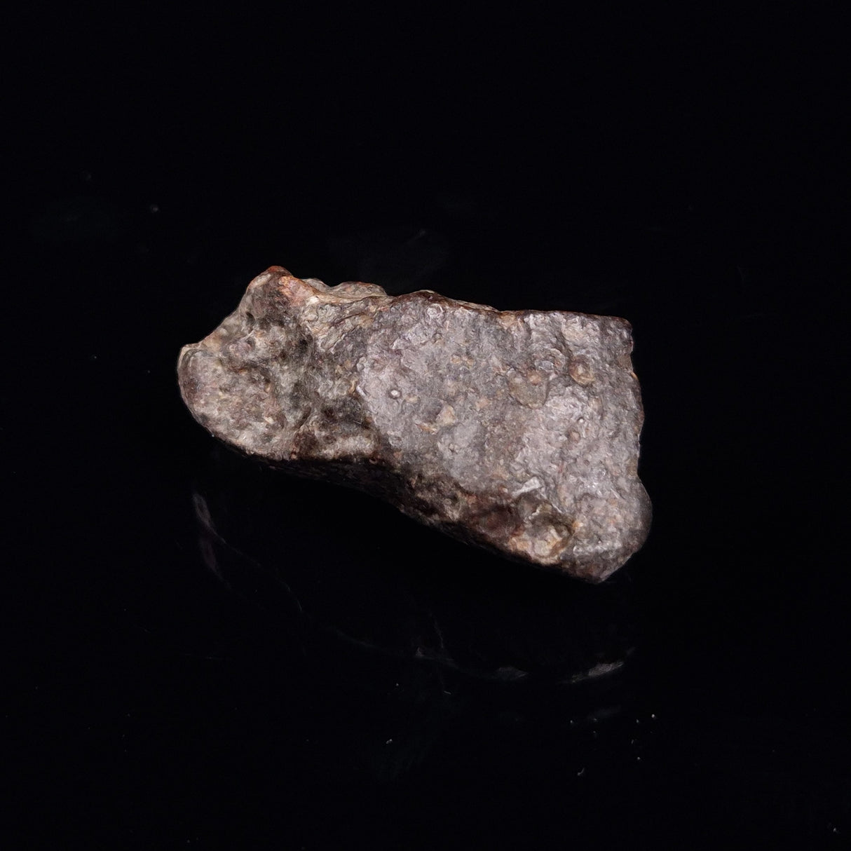 NWA RUMURUTI-TYPE METEORITE, North West Africa XRM006