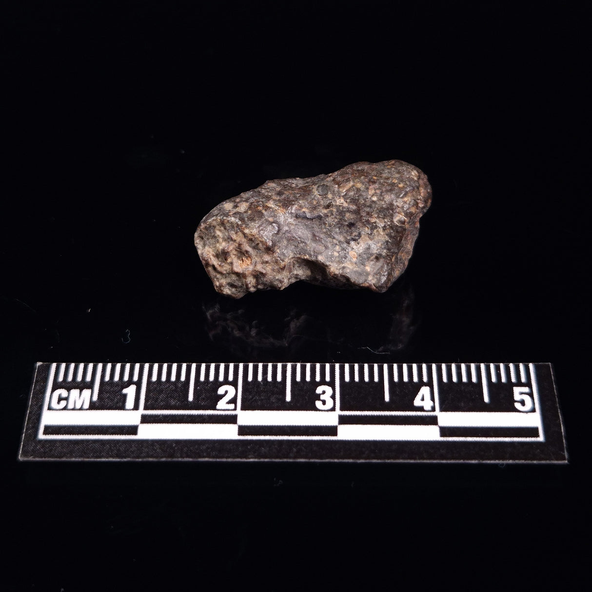 NWA RUMURUTI-TYPE METEORITE, North West Africa XRM006