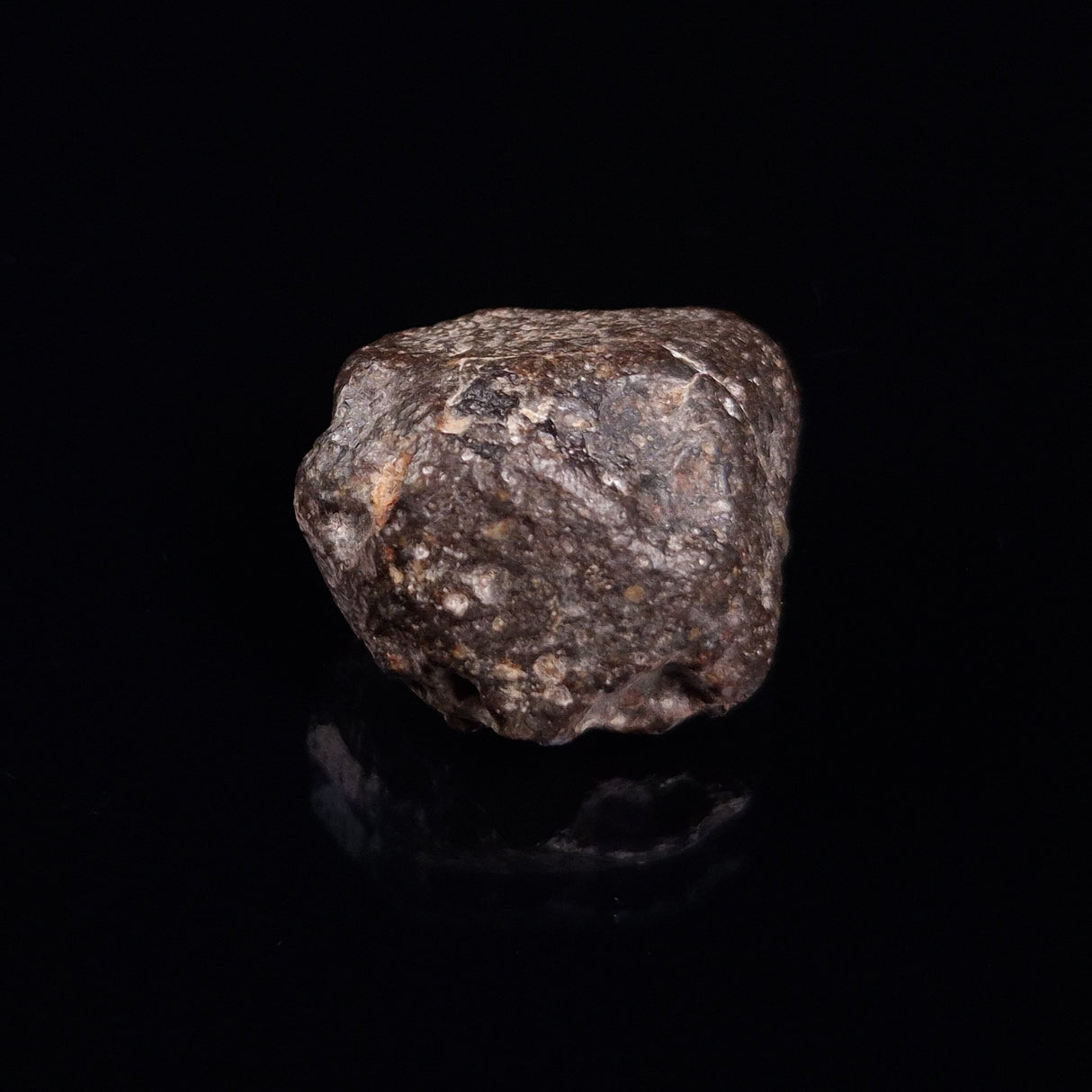 NWA RUMURUTI-TYPE METEORITE, North West Africa XRM007