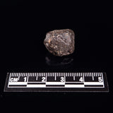 NWA RUMURUTI-TYPE METEORITE, North West Africa XRM007