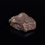 NWA RUMURUTI-TYPE METEORITE, North West Africa XRM008