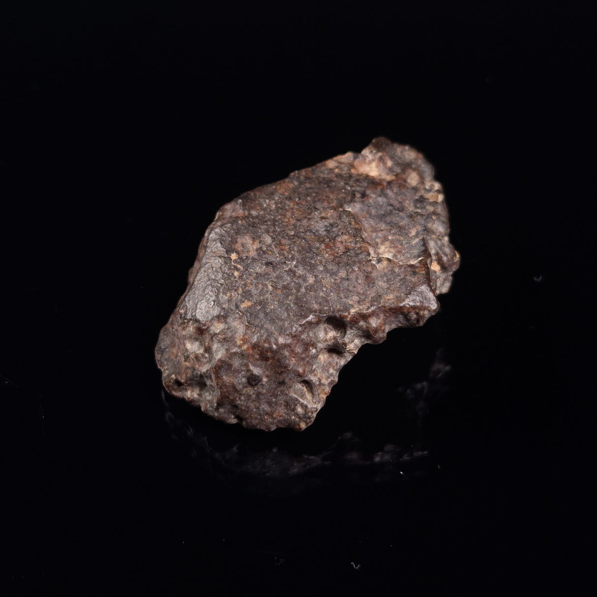 NWA RUMURUTI-TYPE METEORITE, North West Africa XRM008