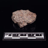 NWA RUMURUTI-TYPE METEORITE, North West Africa XRM008